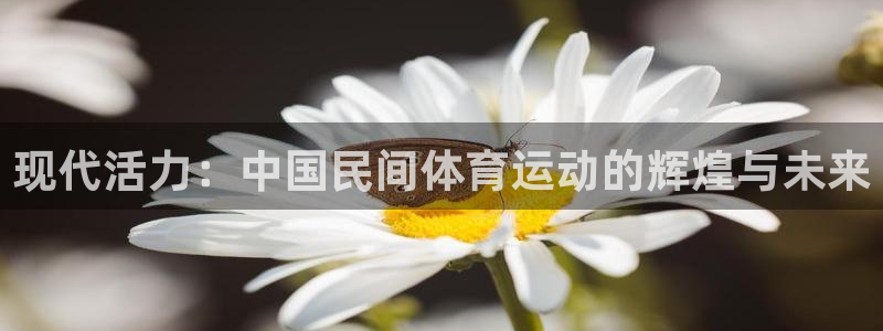 bbin视讯下
