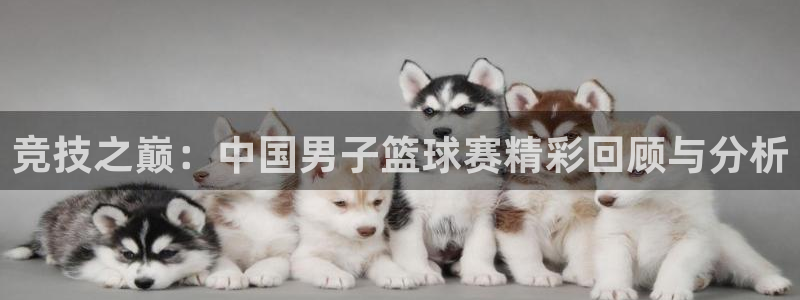bbin视讯