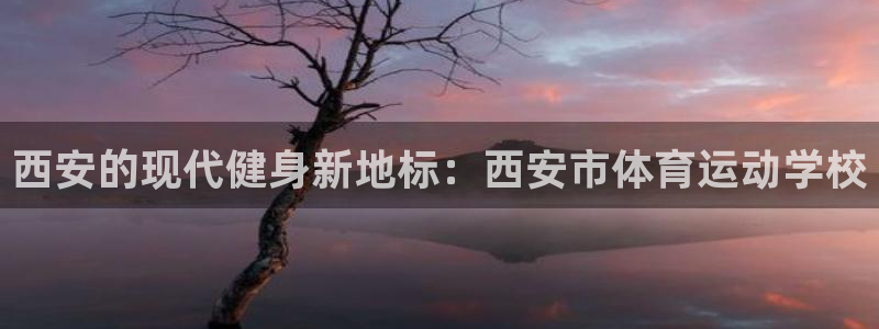 bbin视讯下