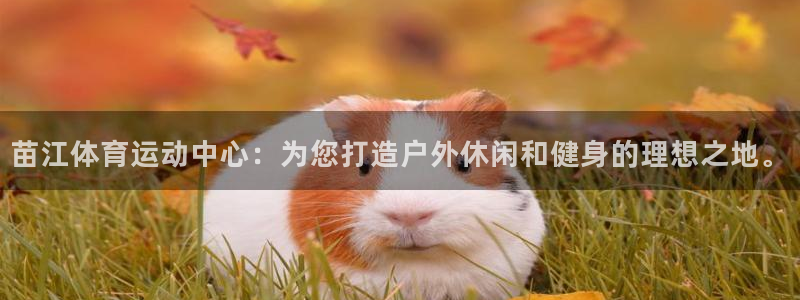 bbin视讯游戏平台