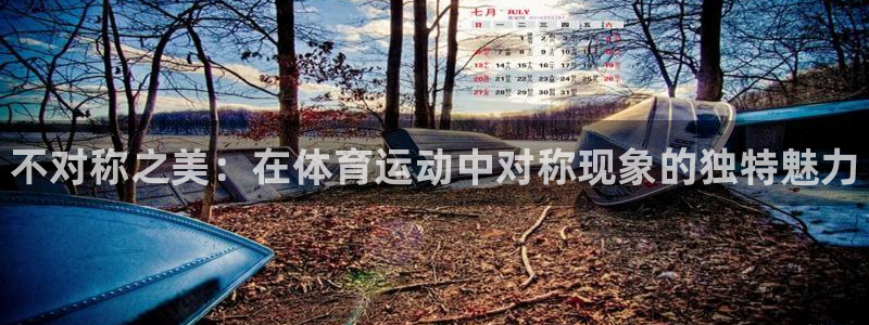 bbin视讯下