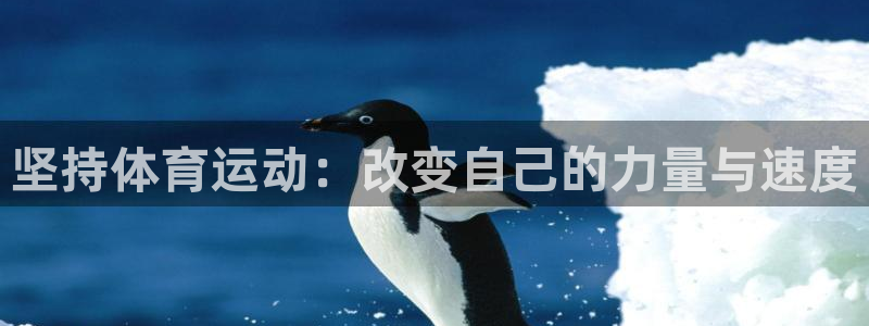 bbin视讯下