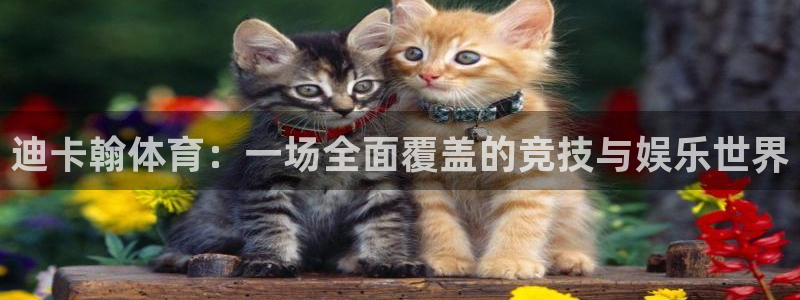 bbin视讯游戏官网