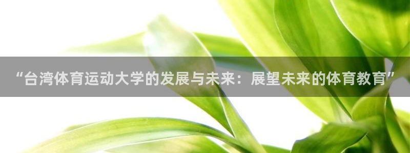 bbin视讯