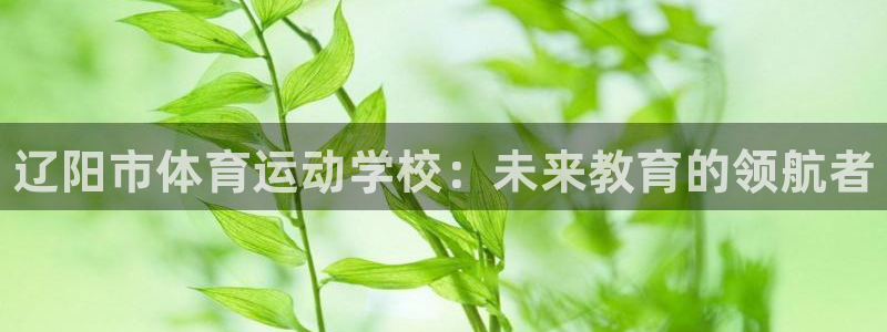 bbin视讯下
