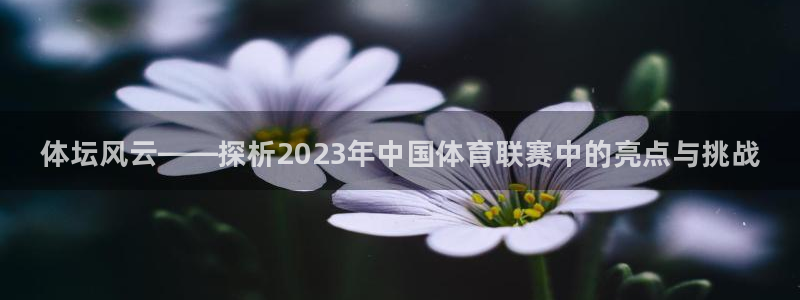 bbin视讯下