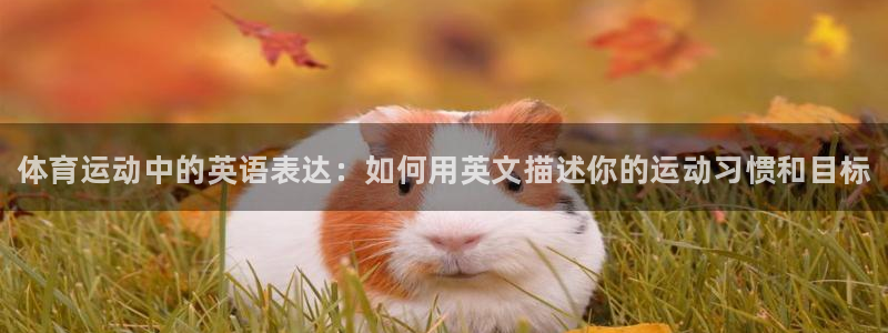 bbin视讯游戏平台