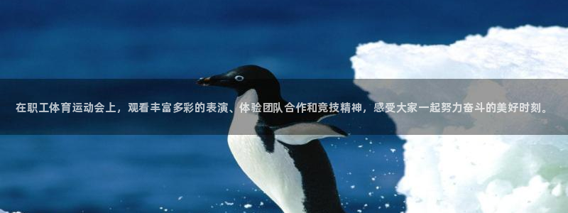 bbin视讯游戏平台