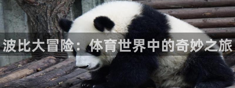 bbin视讯游戏官网