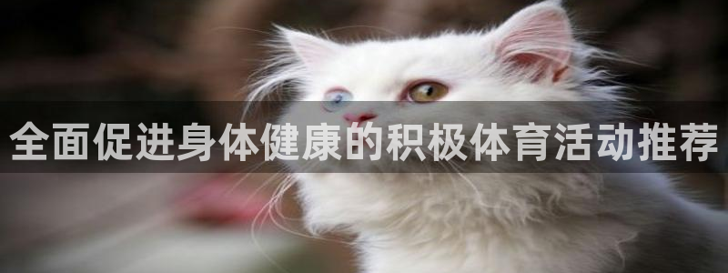 bbin视讯游戏官网
