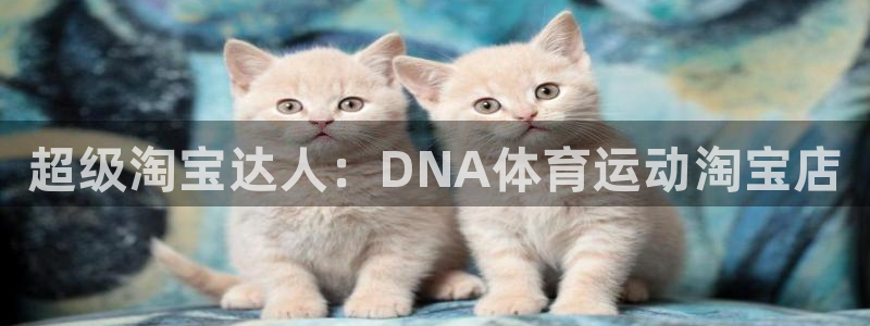 bbin视讯游戏官网