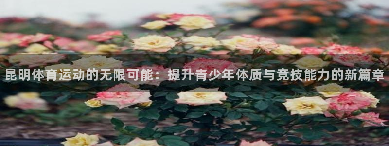bbin视讯下