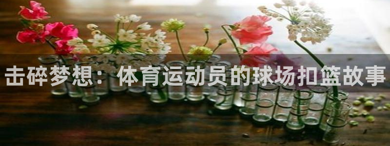bbin视讯游戏平台