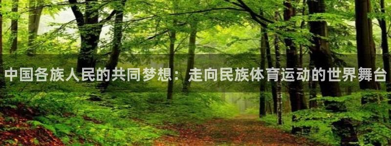 bbin视讯下