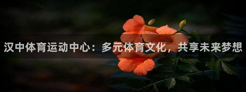 bbin视讯下