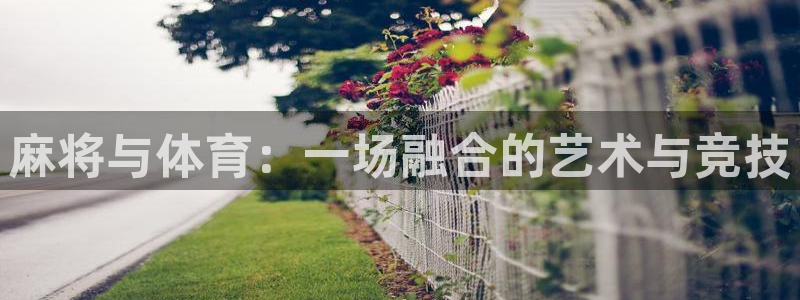 bbin视讯游戏平台