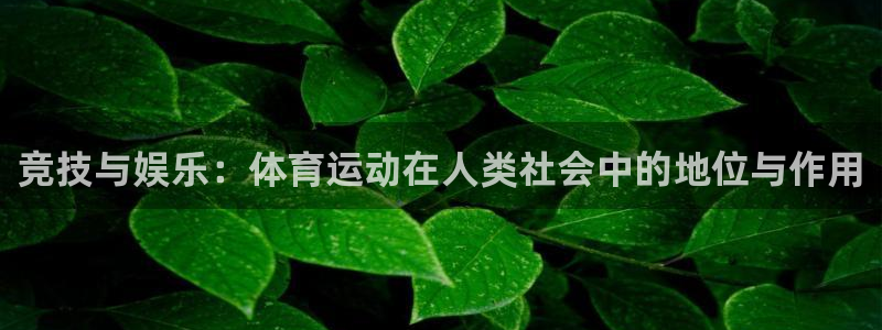 bbin视讯下