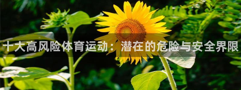 bbin视讯游戏平台