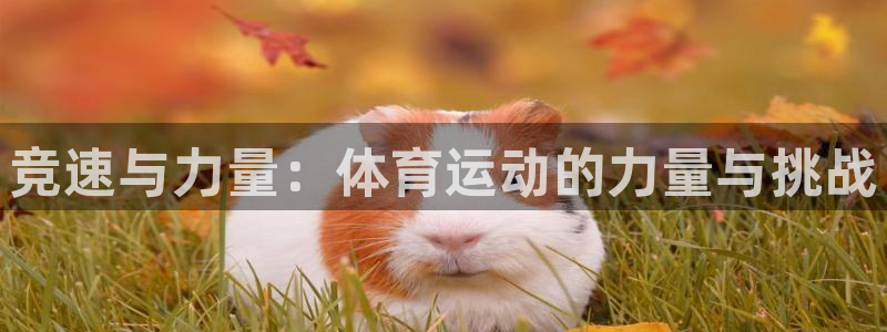bbin视讯游戏官网