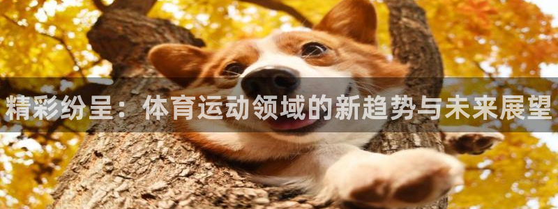 bbin视讯下