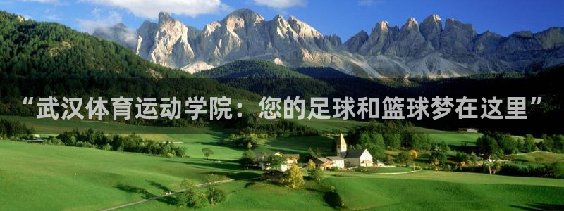 bbin视讯下