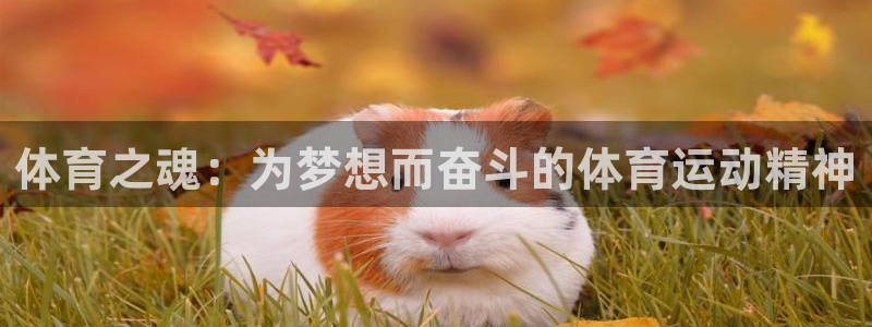 bbin视讯游戏平台