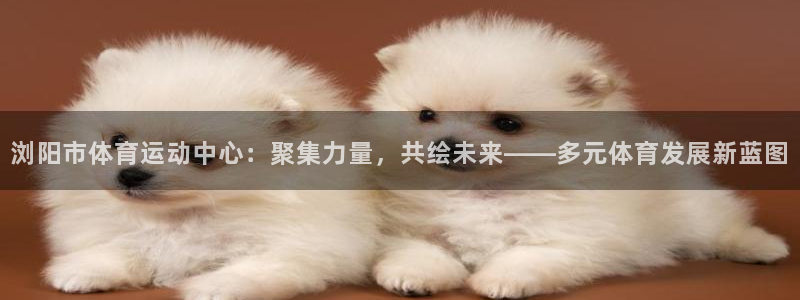 bbin视讯