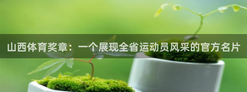 bbin视讯