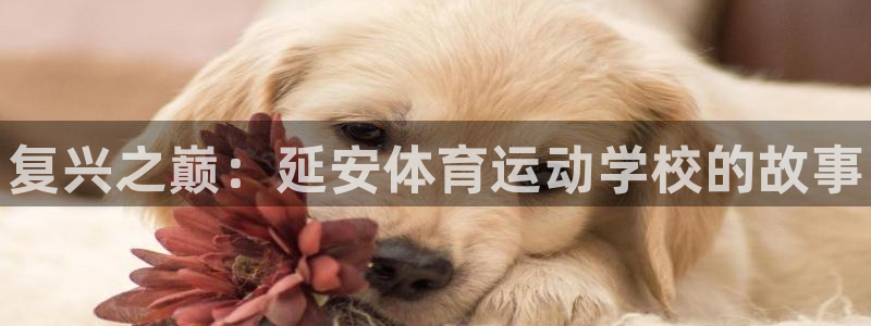 bbin视讯游戏官网