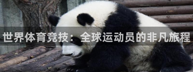bbin视讯下
