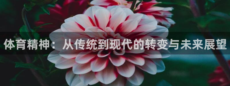 bbin视讯游戏平台